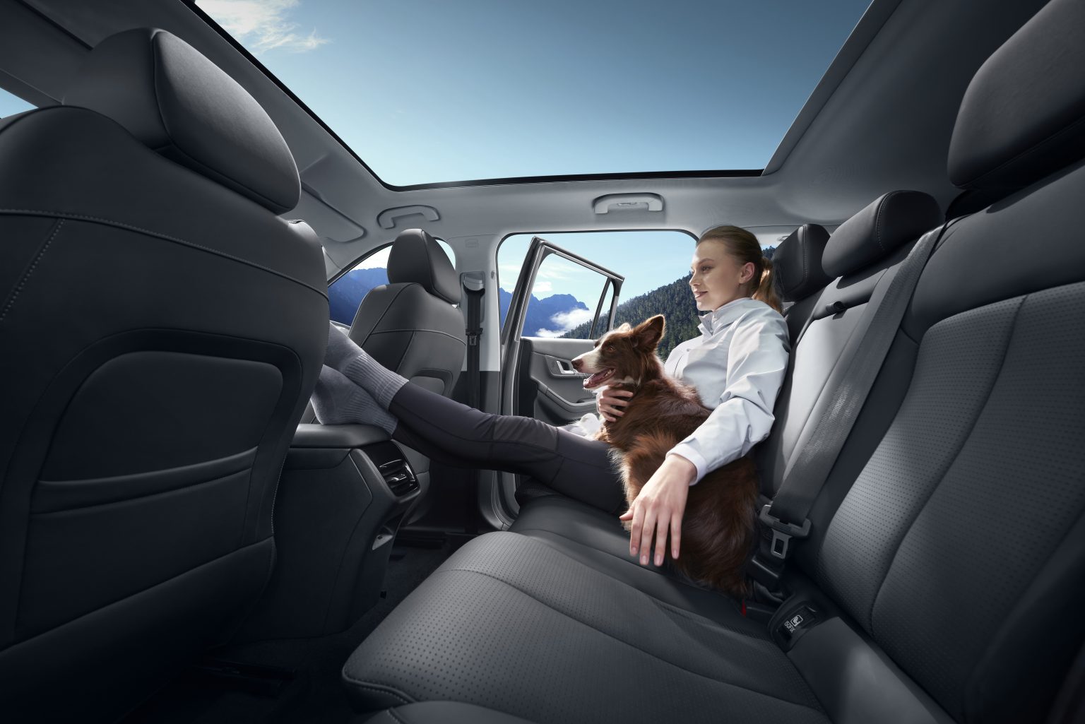 Animal de companie și Jaecoo 5