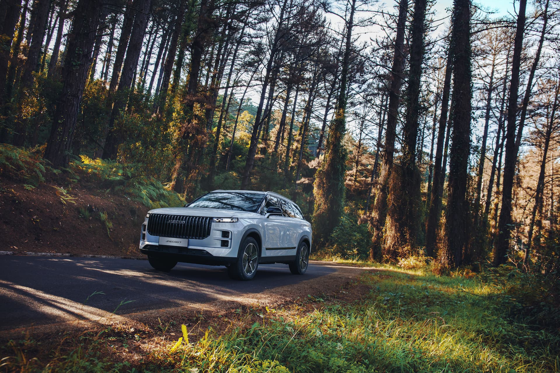 Poze Jaecoo 7 SHS PHEV